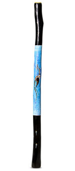 Brendan Porteous Didgeridoo (JW588)